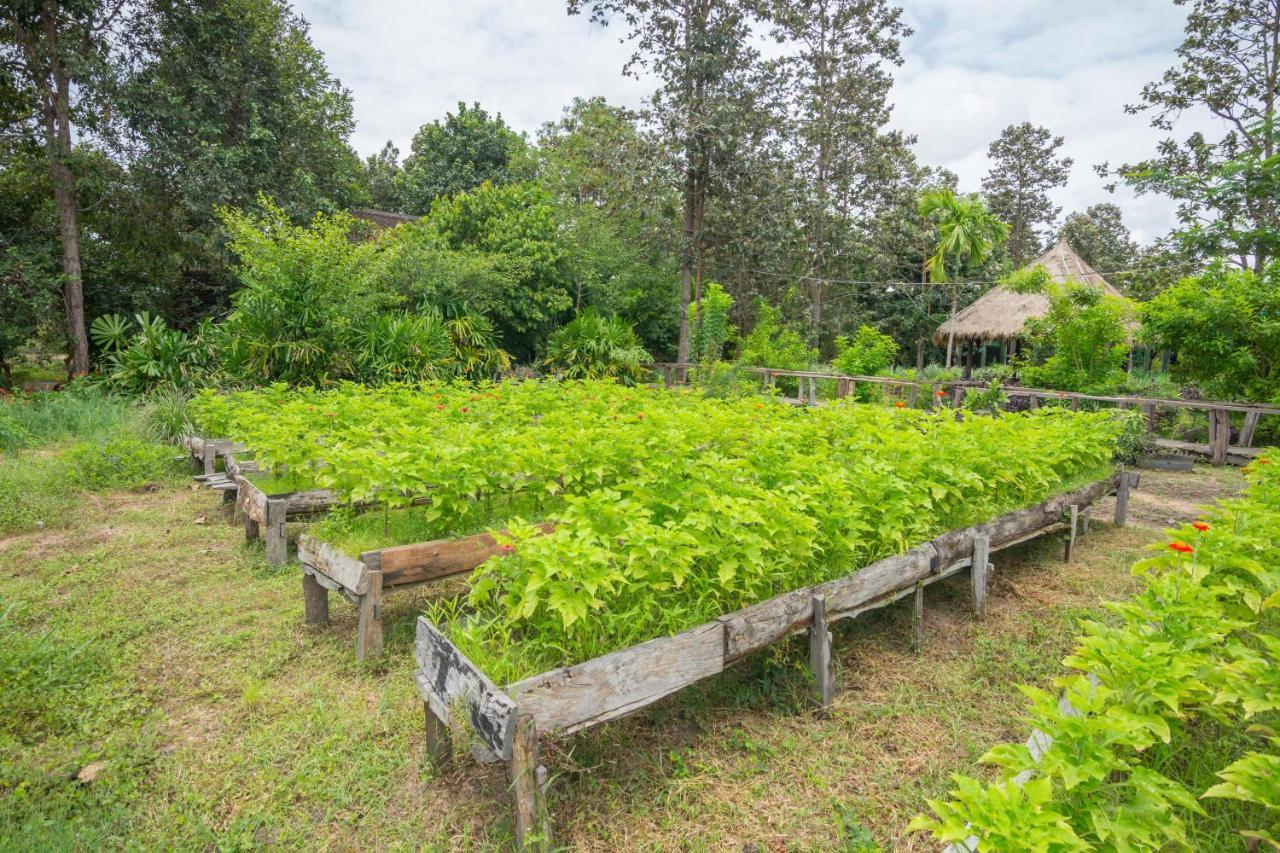 Bong Thom Forest Lodge Siem Reap Exteriör bild